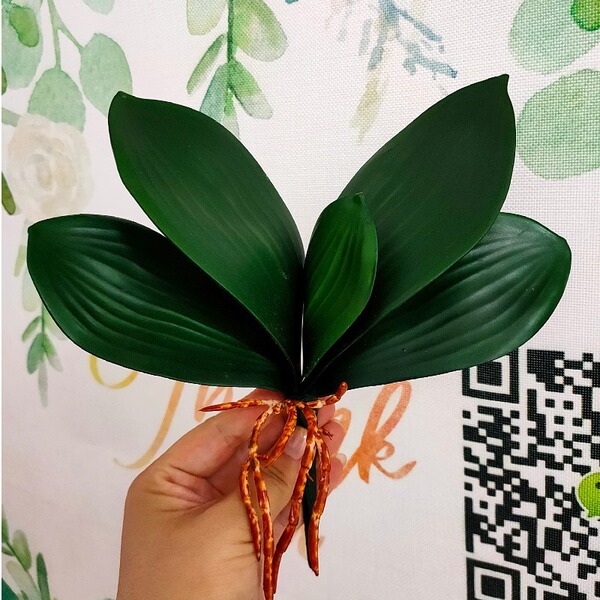 Simulation Flower Phalaenopsis Soft Materials EV Leaf EV Leaf Home Family Flower Hotel Decoration Green Plant Wholesale Retail