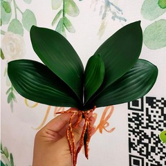 仿真花蝴蝶蘭葉軟質材料葉子EV葉片居家假花酒店裝飾綠植批發零售