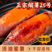 ����25̖���r�r���ԷNɳ�ذ����t��5�S�Ľ������������ع�10