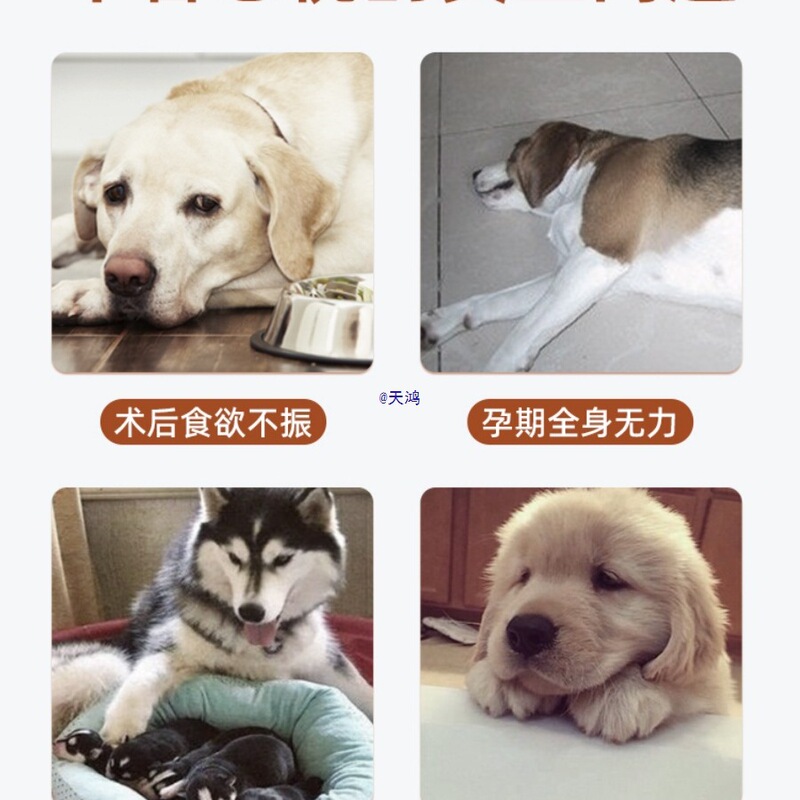 Didi Ma Dog Snacks Crispy Beef Liver Slices Benefit Blood and Nourish Liver Small Dogs Teddy Elderly Puppies Teething Dog Snacks