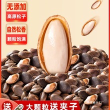 云南新鲜生松子原味大颗粒手剥松仁零食坚果2025新货松树籽非东北