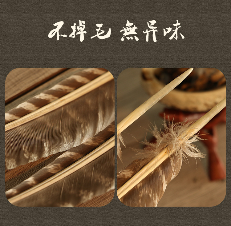 美国加州黑火鸡羽毛白鼠尾草净化引导羽毛风元素祭坛仪式圣品 图 6