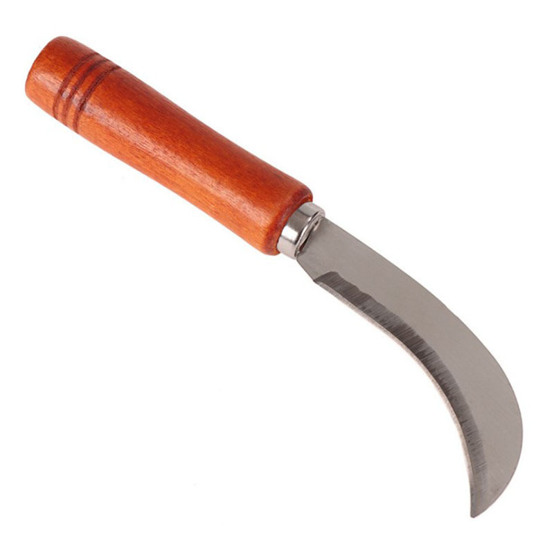 14265889895_210938489