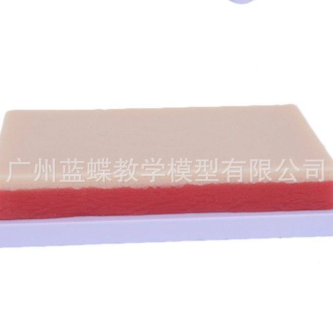 ���������ϰģ��ģ�� ���ѵ��Ƥ���轺ģ�� �轺���ģ�� ҽѧ