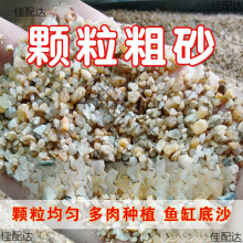 多肉河沙土粗沙颗粒造景铺面种花鱼缸底砂微景观水族种植拌