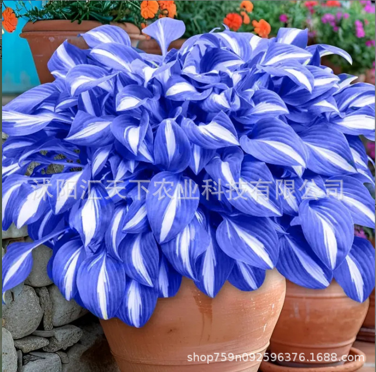 微信图片_20251025114330_1328_56