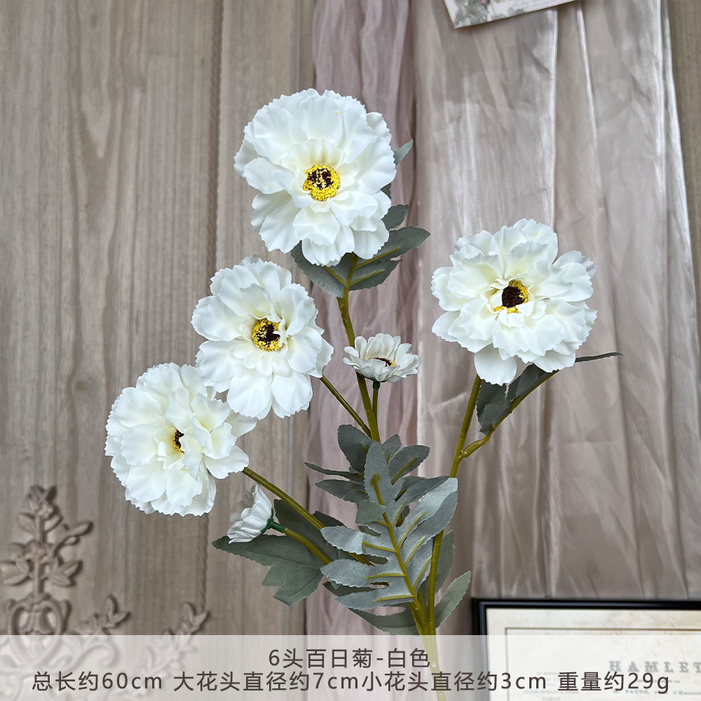 ซินเนีย 6 หัว XQ - สีขาว