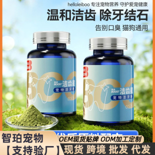 �Ʊ������ی���؈�䝍�X��ǻ�坍�����Yʯ�p�ٿڳ������������