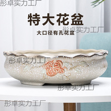 ڏش̖⻨NĿyAôˮ̖MƴP