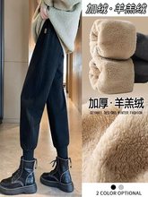 加绒加厚运动裤女秋冬2025新款哈伦裤裤子冬季外穿休闲束脚棉裤