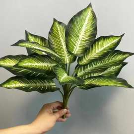 仿真龟背叶散尾葵孔雀木水芋龙须草鹿角叶假蕨草 铁树绿植