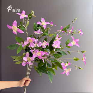 �����F��ɏ���滨 �Ҿ��b[���zӰ���߻�c�쾰����