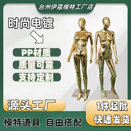 模特
