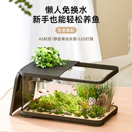 鱼缸;水族过滤设备