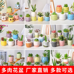 多肉陶磁器盆創意ミニマカロンセットサボテン植物盆栽テーブル置物盆メーカー卸売り