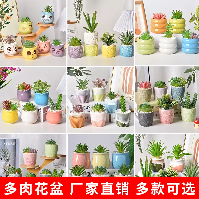 多肉陶瓷盆创意迷你马卡龙组合仙人掌植物盆栽桌面摆件盆厂家批发
