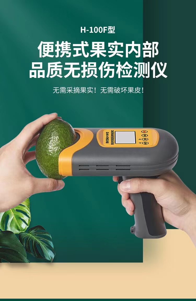 橙子，橘子，苹果无损检测仪H-100F 糖度，酸度，硬度无损检测仪