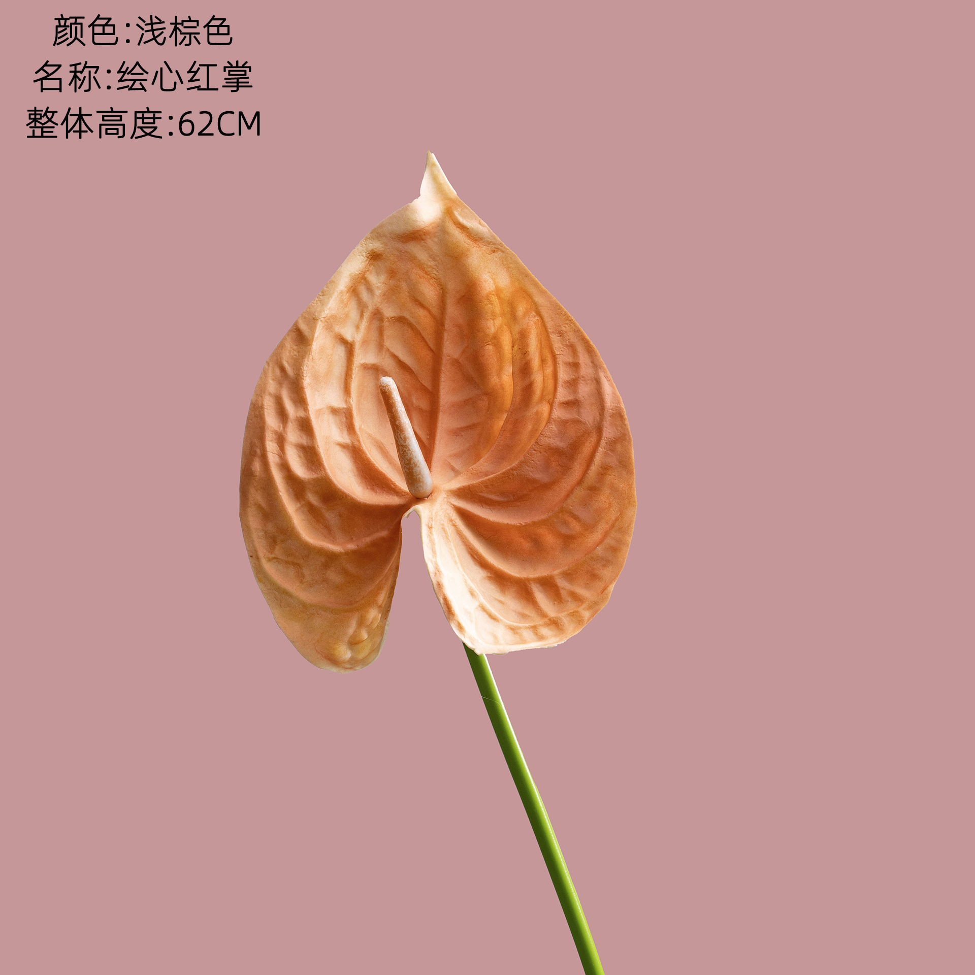 밝은 갈색