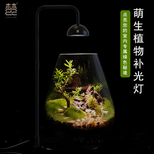 Micro-Landscape Lamp for Growing Plants, Ecological Bottle Landscaping, Moss Fish Tank, Aquarium Full-Spectrum Fern Fill-In Plant Lamp