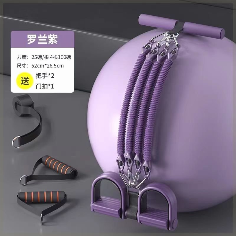 롤랜드 퍼플 4 100 파운드 도어 버클 2 핸들