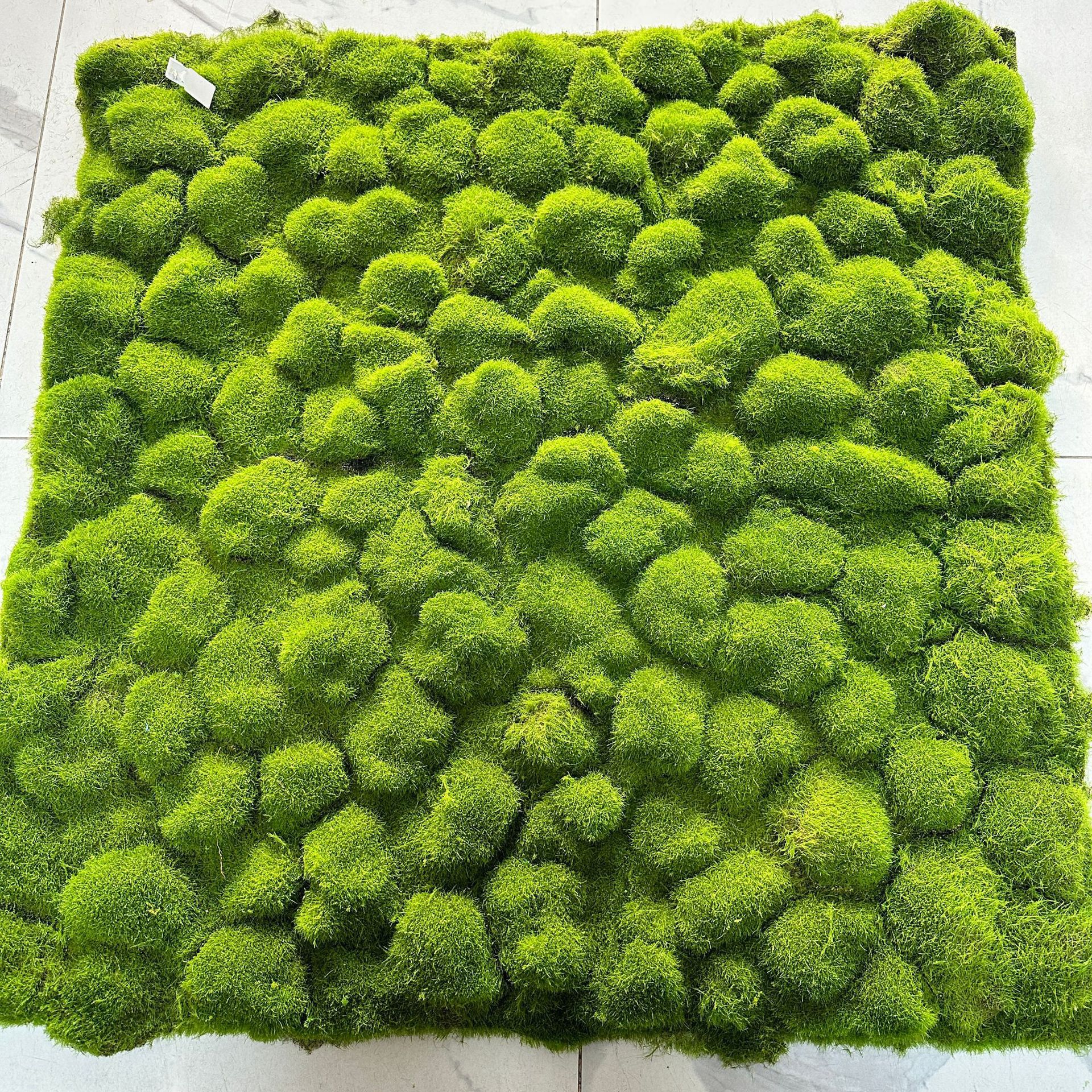 Césped artificial de musgo verde césped artificial planta paisaje planta verde escena ventana pantalla bonsai falso musgo