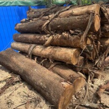 ����â��ľԭľ���ԭľâ��ľҎ���ϼӹ�ľ��һ��؛Դ����