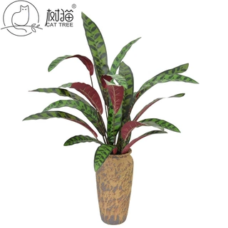 现货12头凤尾草仿真植物大叶子带根须孔雀叶绿植装饰室内假花盆栽