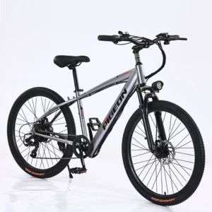 36V Variable Speed Mountain Electric Bicycle City E-Bike