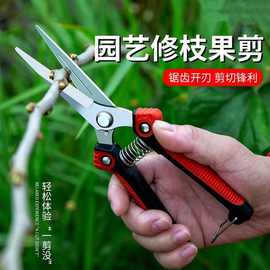 跨境不锈钢修枝剪园林葡萄稀果剪盘景园艺工具尖头果园摘果专用剪