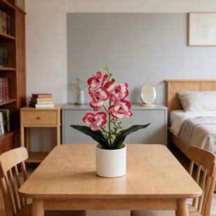 ����5�仨�����m���Ի�c�Y���b����ϼٻ��[���k������Gֲ�辰