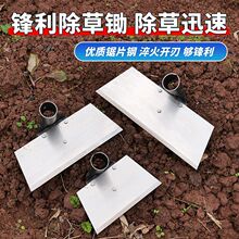 �¿�����z�r���L���z�������z�س����z�^���üӺ��Ƭ������z