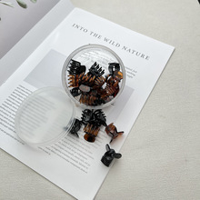 新款现货迷你美容洗脸侧边刘海夹发饰发夹日用款盒装棕黑小抓夹