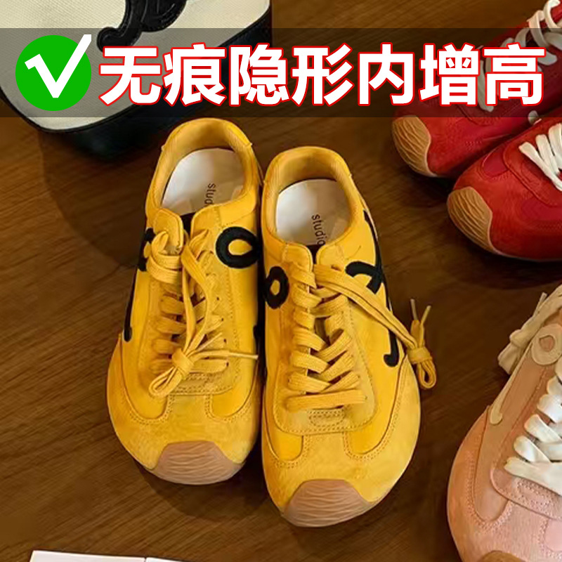 노란색 내부 증가