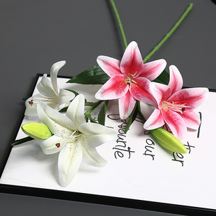 2��1�ٰٺϷ��滨�Ҿ�ܛ�b��c�廨3D��ӡ�ٻ��Ɍ��b���Y����