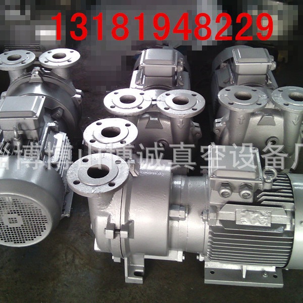 淄博2BV5110.5111.5121水环真空泵