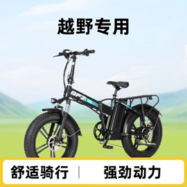 其他非机动车;其他电动车;电动滑板车