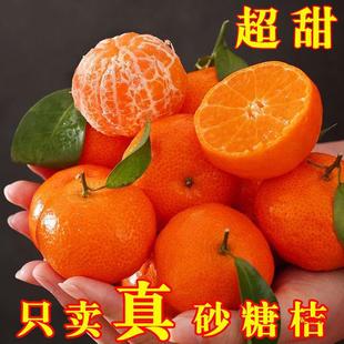 �V��ɰ�ǽ� �Fժ����ˮ�� ����ɳ�ǽ�С���Ӹ��ٽ��ӳ������l���l