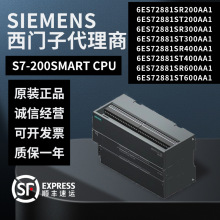 ������200SMART/6ES7288-1SR20-0AA1/6ES7288-1SR60-0AA1ȫ��ԭװ