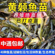 �S��~�S���~�S�����Sɣ�~�S�����~�絭ˮ���ؑc�Bֳʳ���S���~��