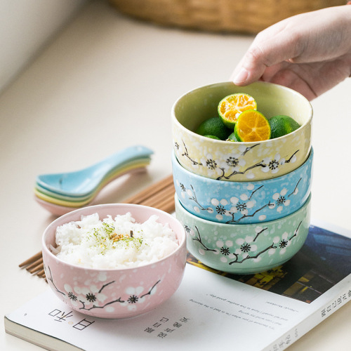 Japanese hand-painted ceramic bowl home soup bowl rice bowl creative dessert bowl steamed egg bowl ins ceramic tableware set