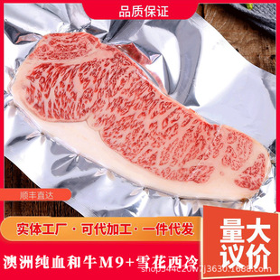 ���޼�Ѫ��ţM9+ѩ�����䌦���ձ����A5��ţ�׷QM12ţ����S���]