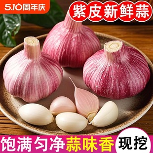 2025�����r�����^ɽ�|���l�r����Ƥ�������ƬF���������������s