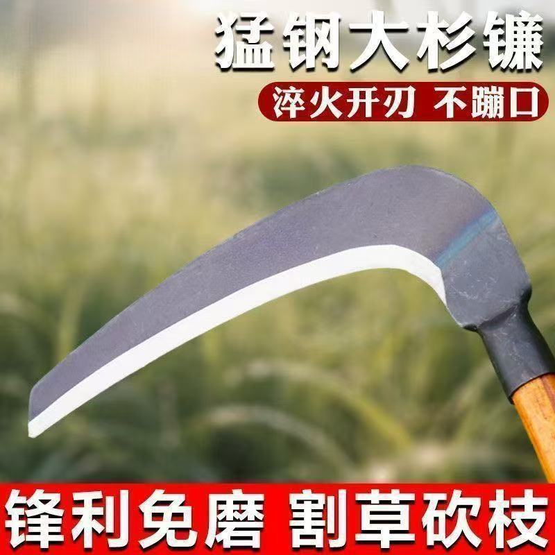 微信图片_20260222124928_105_28.jpg