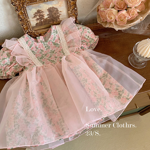 Girls Floral Princess Dress 2024 New Children's Korean Style Puff Sleeve Baby Style Summer Korean Style Dress