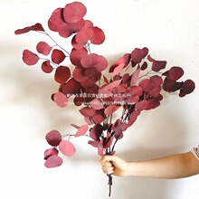 �����~���滨�ɻ��b����[�O�O��Ⱦɫ�ȼ����~���W�p���r��