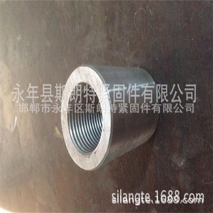 Link Nut, Extended Nut, Thick Nut, Socket Nut, Connecting Nut, Hexagonal Extended Nut