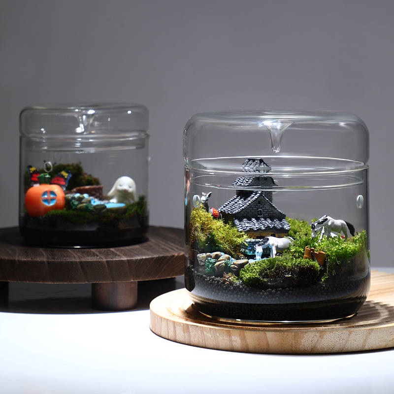 Fabricantes coleccionan vidrio de escritorio hecho a mano micro paisaje taza de exposición botella ornamental botella de luz transparente acuario ecológico