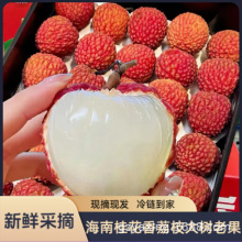 ���r������֦�F�l�Fժ������֦�����^�����\�Y��һ�����lֱ�l