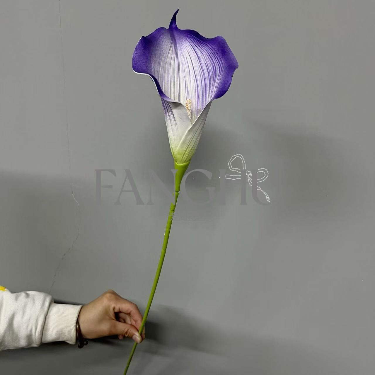 微信图片_20250311085928