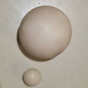 ��ӺY���z��ߏ����������z�����ܼӹ������μ�����������������